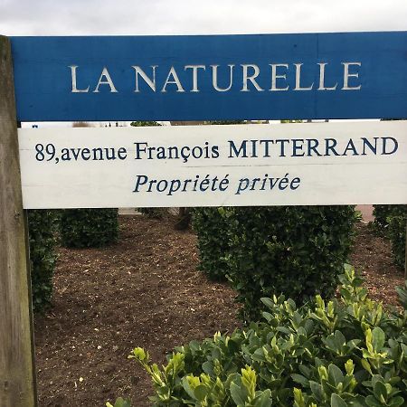 Vue Mer Sur La Cote D'Opale, Studio La Naturelle Pour 4 Personnes , Wimereux Buitenkant foto